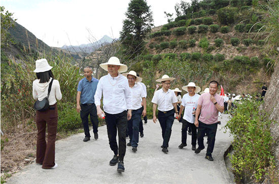 13 振興茶產(chǎn)業(yè) 媒體來助力 廈門市安溪商會組織媒體記者走進(jìn)安溪茶鄉(xiāng)265.png